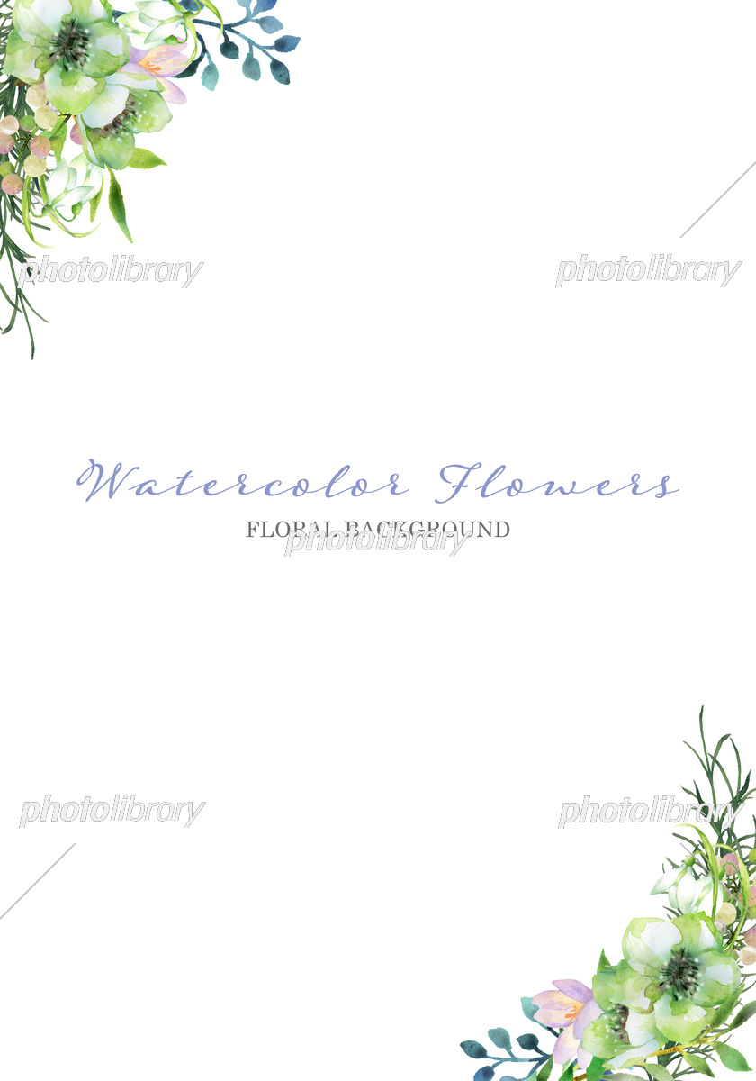 水彩で描いた緑と白の花のフレーム イラスト素材 [7432635] - フォト