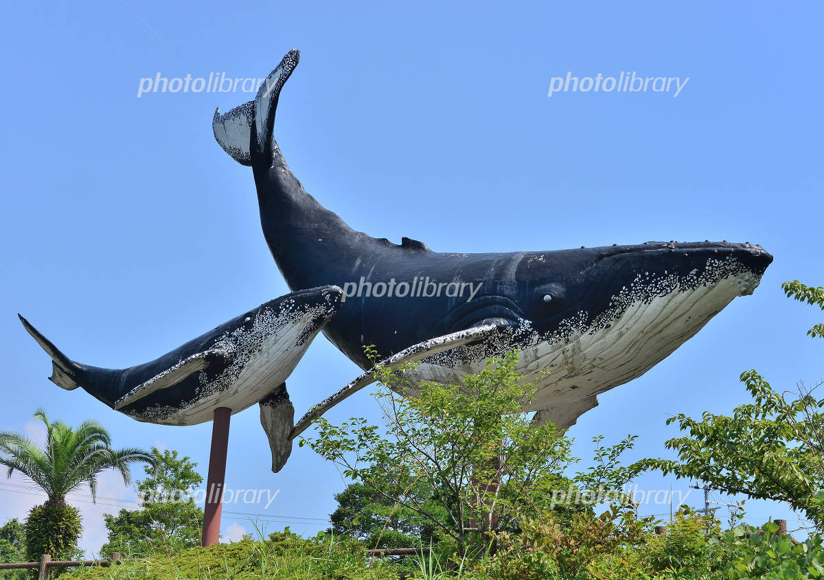 太地町くじらのモニュメント 写真素材 [3934804] - フォトライブラリー