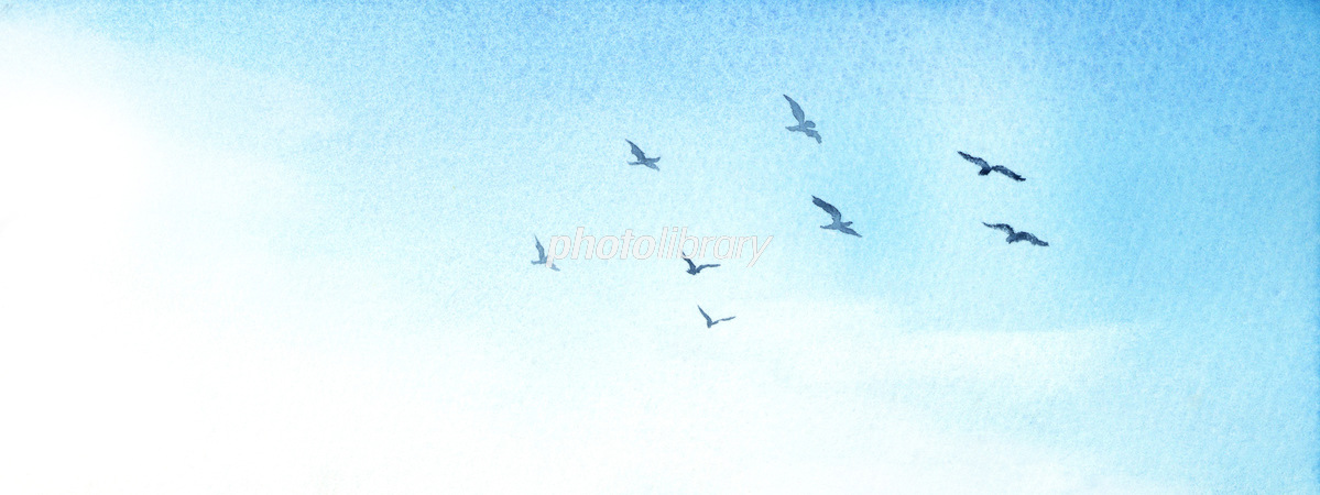 空を飛ぶ鳥 水彩画 イラスト素材 [6596774] - フォトライブラリー