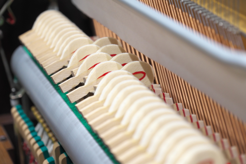 株式会社ピアノプラザ | ROSENSTOCK RG-707DW