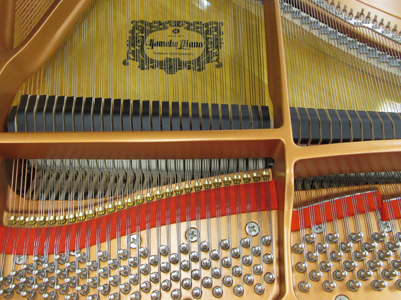 株式会社ピアノプラザ | YAMAHA C1X-Wn(6422)