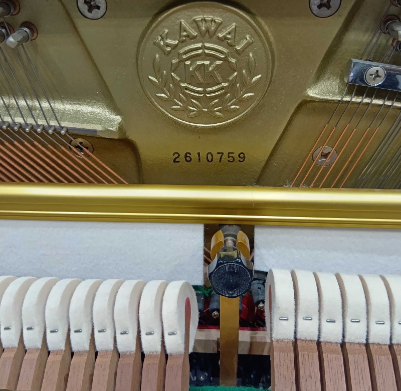 株式会社ピアノプラザ | KAWAI Si16ロジーナ(2610)