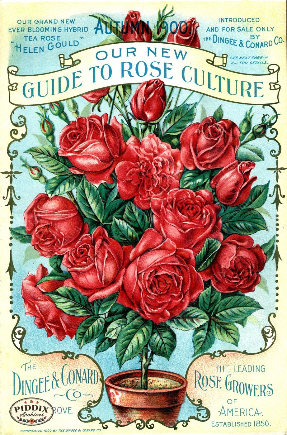 PDXC1515 -- Vintage Rose Culture Catalogs - piddix
