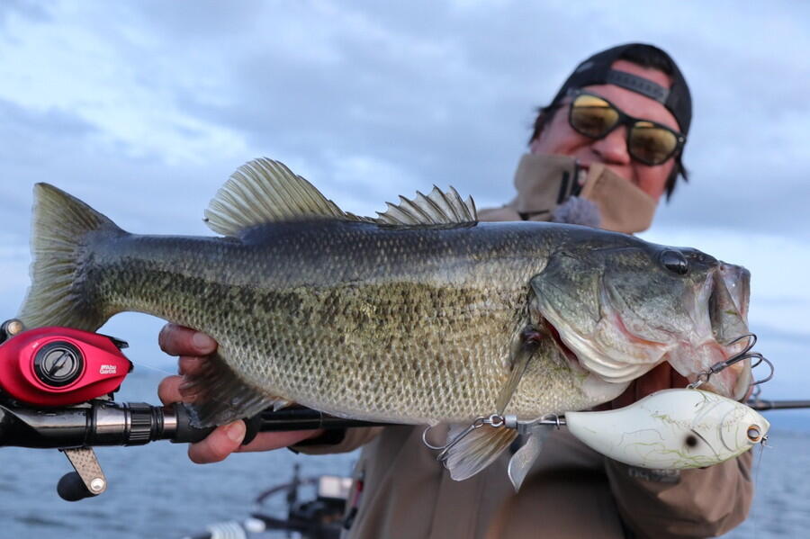 REVO BEAST ROCKET（レボ・ビースト ロケット）｜AbuGarcia｜釣具の