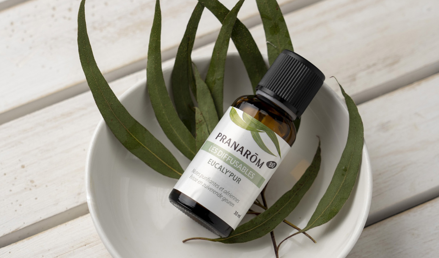 プラナロムルームコロンZen リニューアル – プラナロム