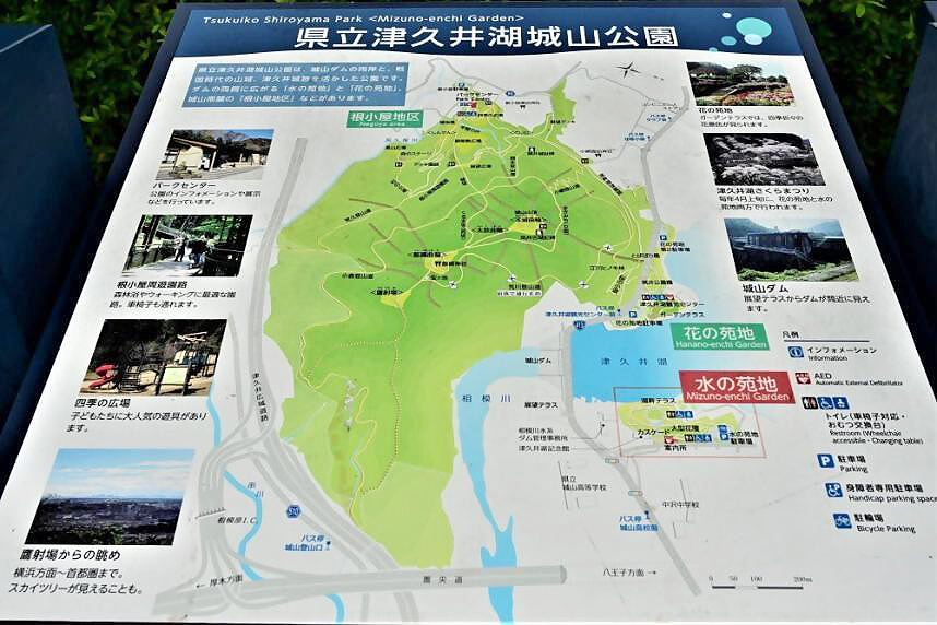 県立津久井湖城山公園 - 神奈川県ホームページ