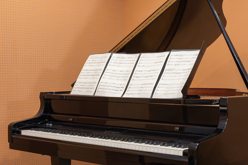 株式会社プリマ楽器 | 創業80周年記念特別企画 | KING JIM × Prima