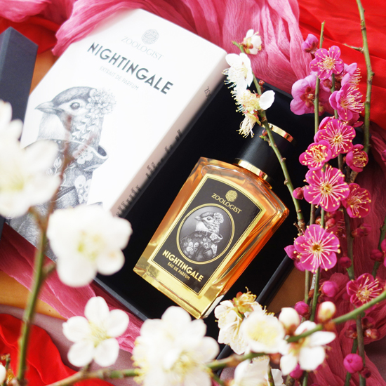 Nightingale / ナイチンゲール