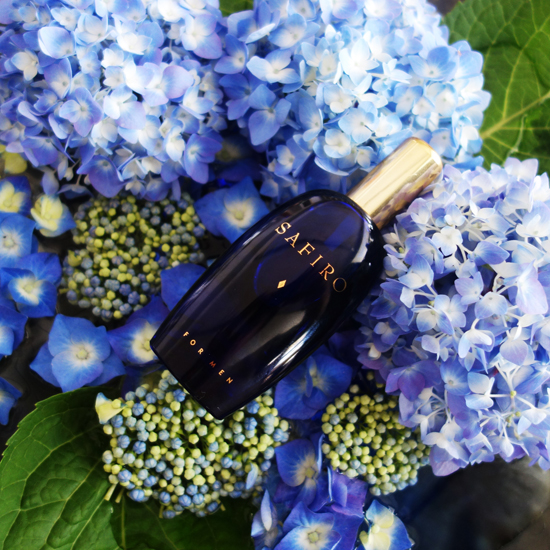 Safiro for men / サフィロ フォーメン