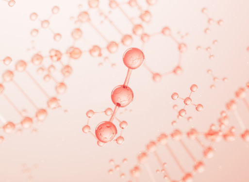 エクストラモイストオイル | プロメディアル - Promedial | ロート製薬