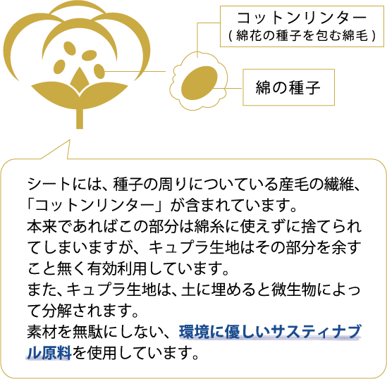 エヌ・ティー・エイチ スキンケア マスク（1枚） – Queens Henna