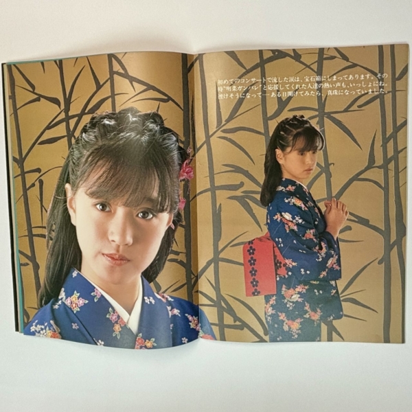 中森明菜 1983年ツアーパンフ Akina Milkyway 春の風を感じて | 音楽