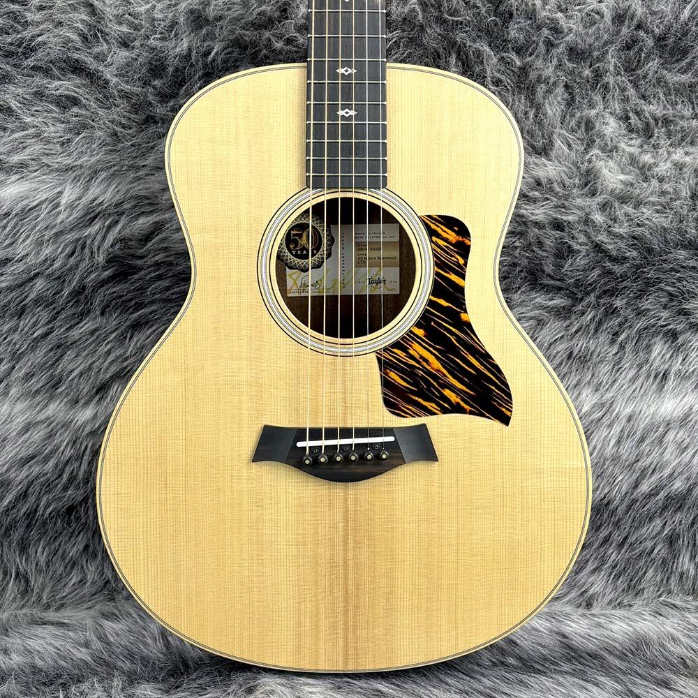 Taylor GS mini 50周年記念モデル 167679-3.jpg