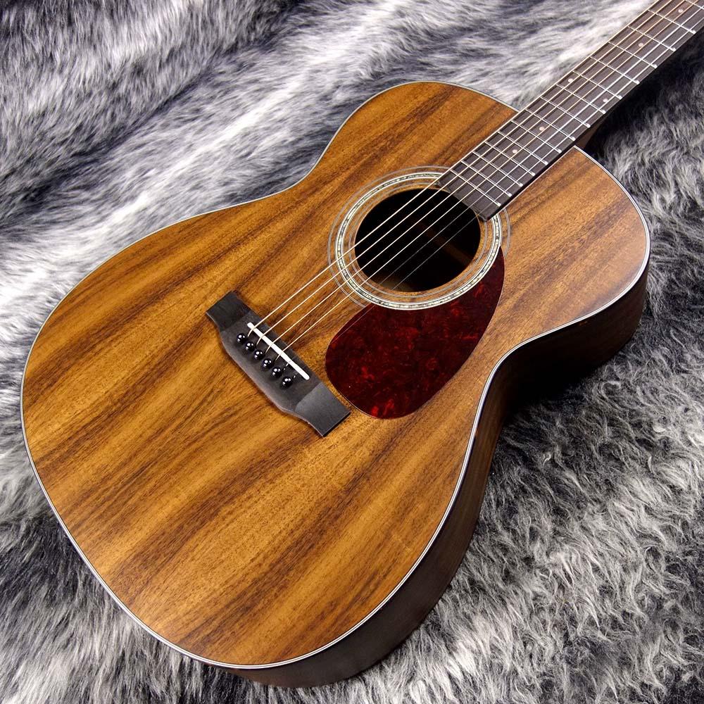 値下げ↓ キャッツアイ　ギター キャッツアイ(CAT'S EYES)|アコースティックギター/CE-800T|【ハード