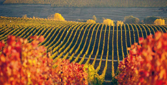 Album Romania - Seasons (romanian/english/french) - Romanian