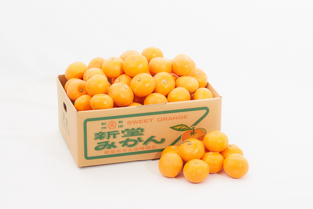 和歌山県産 新堂みかんSサイズ【5kg】–フルーツギフト専門店「蝶結び