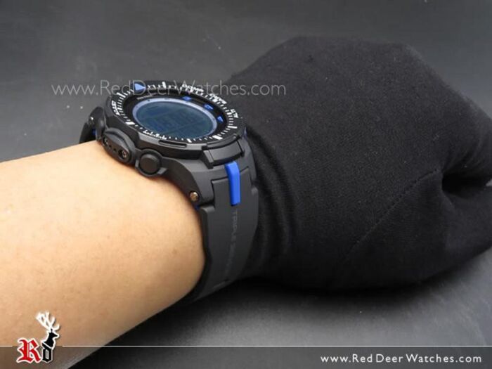 BUY Casio ProTrek Triple Sensor Solar Sport Watch PRG-300-1A2
