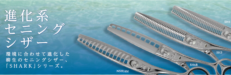 株式会社 柳生 | トップ
