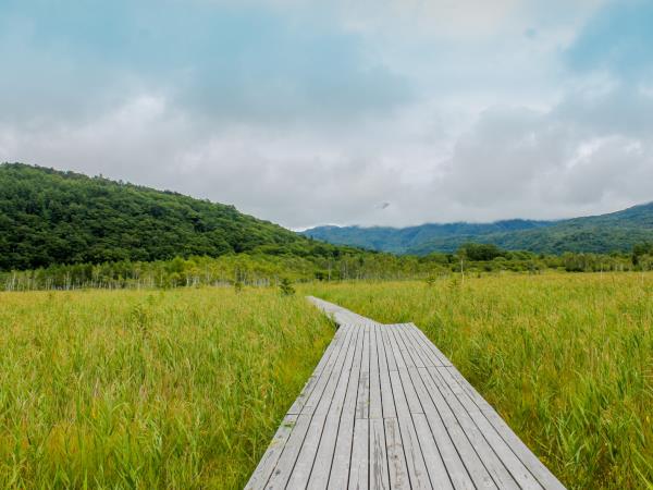 Nikko and Yumoto Onsen walking tour, Japan | Responsible Travel