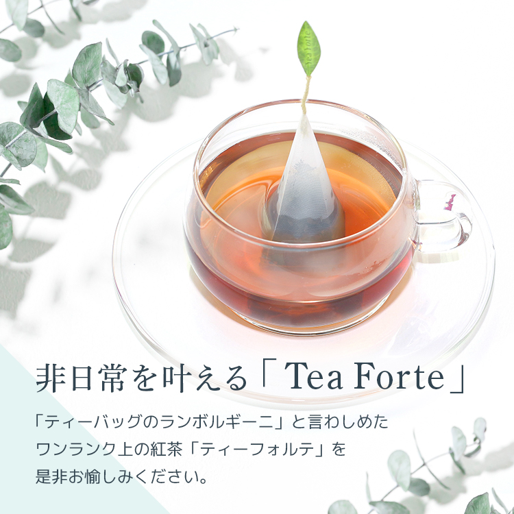 楽天市場】ティーフォルテ TEA FORTE ティーテイスティング ダブル 20