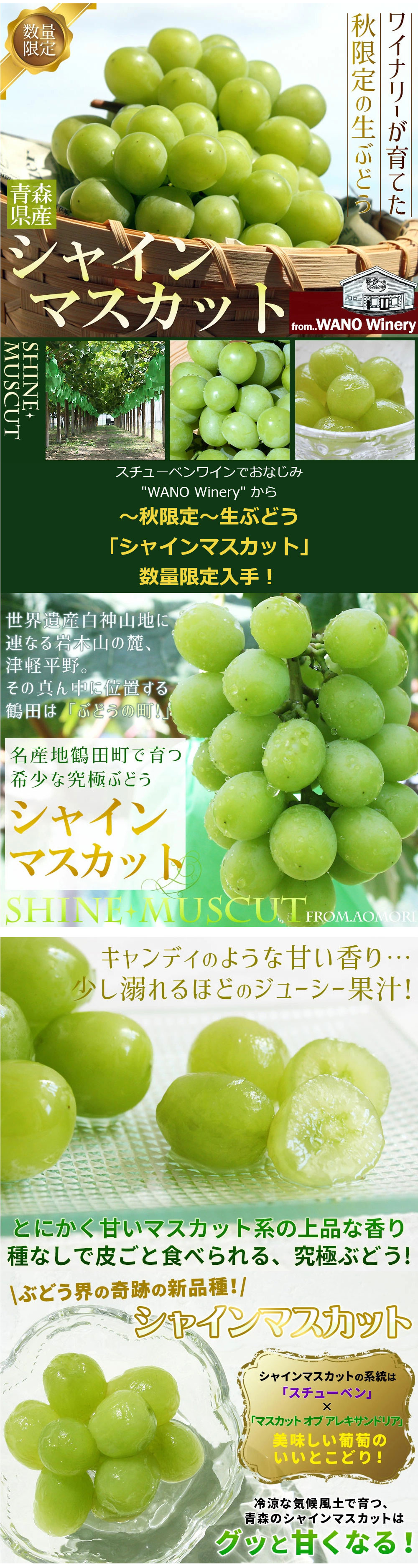 青森県産 【青森県産 ぶどう シャインマスカット 1kg前後】2－3房 家庭