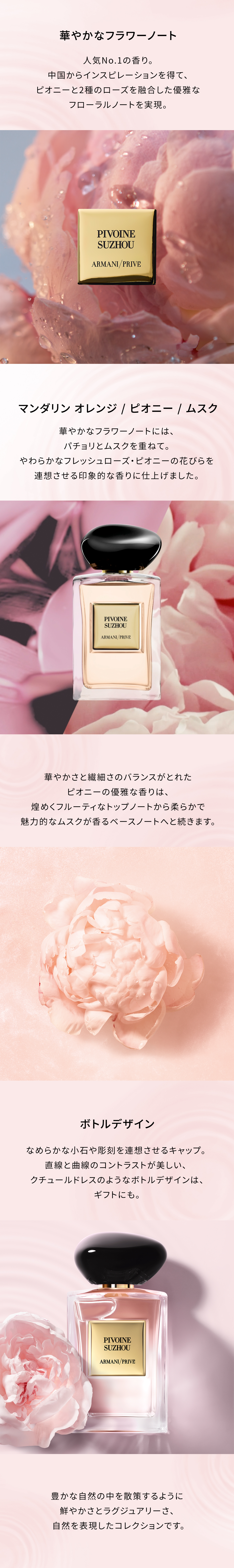 楽天市場】【公式】アルマーニ プリヴェ ピヴォワンヌ スジョ