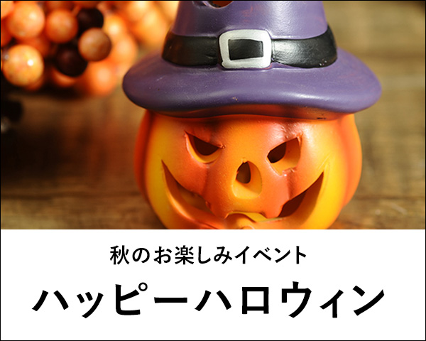 ガーデンピック特集｜ガーデン用品屋さん【Yahoo!ショッピング店】