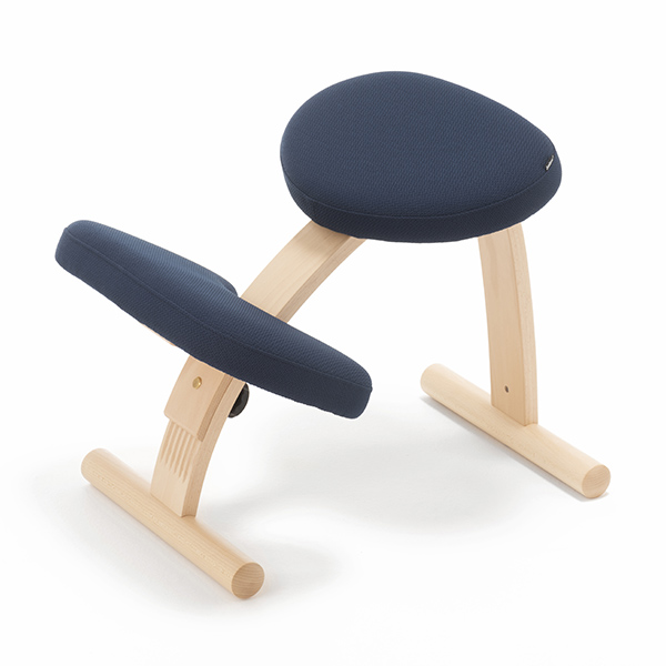 バランスチェアのサカモトハウス