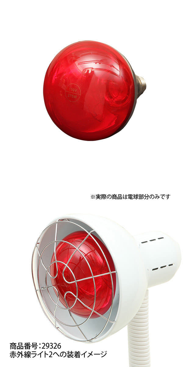 楽天市場】赤外線ライト用交換ランプ 赤外線 温熱器 温熱機 赤外線