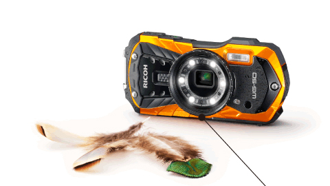 Feature | WG-50 | RICOH IMAGING