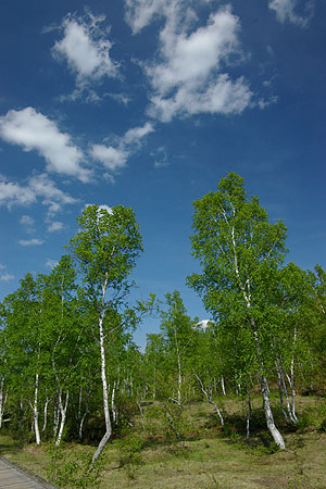 smc PENTAX- FA J レンズ / アーカイブス / Beautiful Photo-life