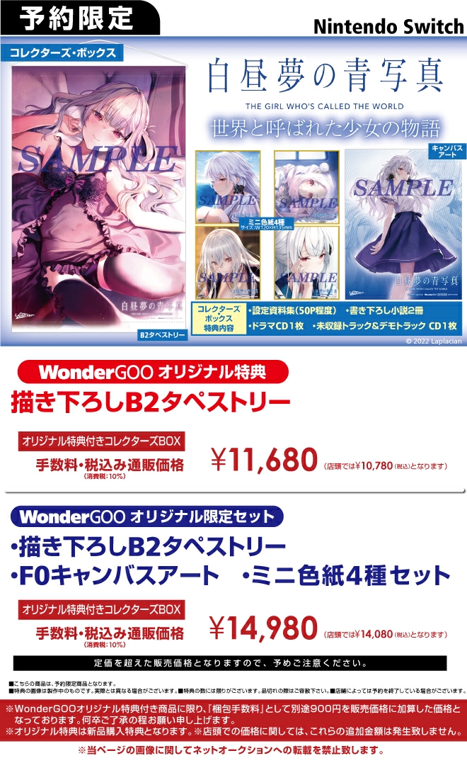 Nintendo Switch 白昼夢の青写真【限定セット】描き下ろしB2