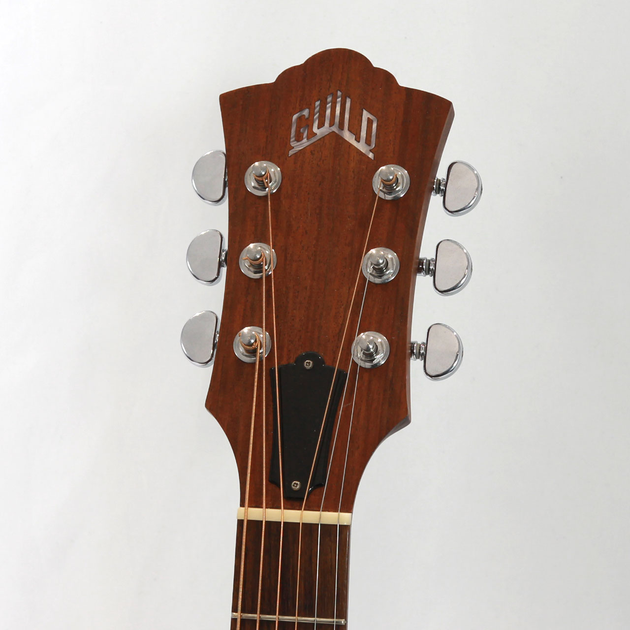 GUILD ギルド DV-6 | ワタナベ楽器店 京都本店