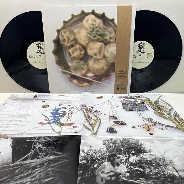 真島昌利 / 夏のぬけがら (LP) / MELDAC | WAXPEND RECORDS