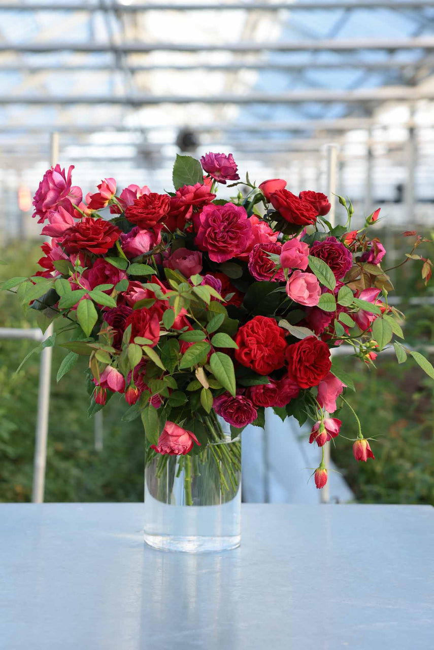 Pablok 薔薇75本 ユーカリ追加10本 ラッピング＆メッセージカード 特別