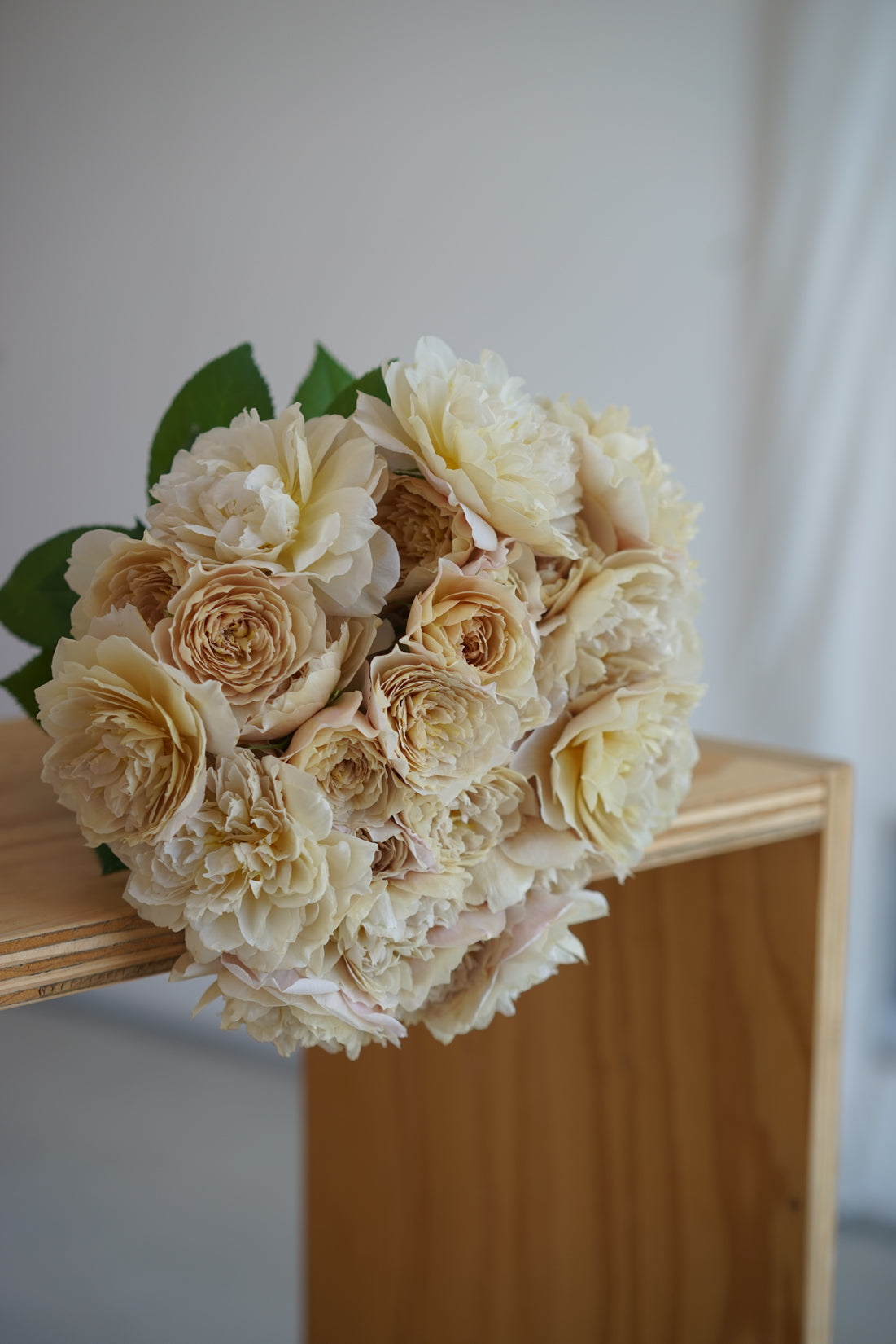 ROSE CHARLOTTE PERRIAND – WABARA online store