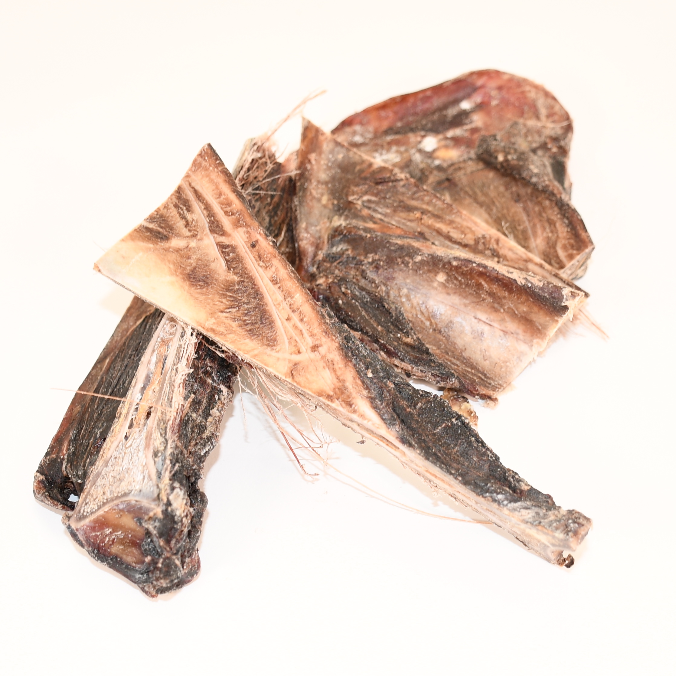 Wag Mall / 丹波産野生鹿／肩甲骨