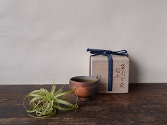 備前焼わかくさ】伊勢崎 創 作品一覧