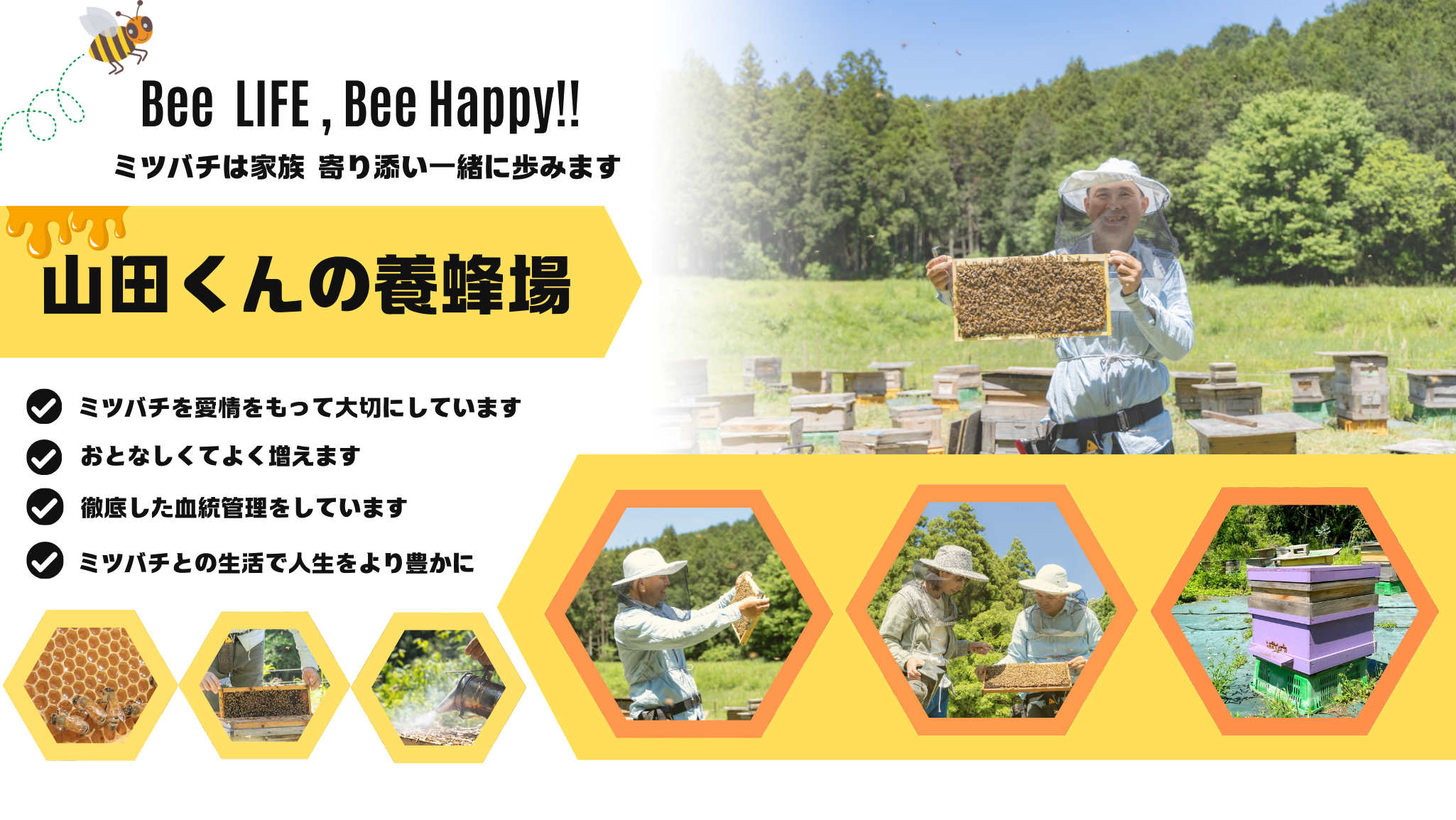 山田くんの養蜂器具一覧