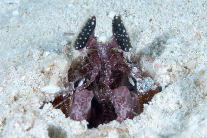 World Explore Official Blog FROM 海 旅 GUIDE