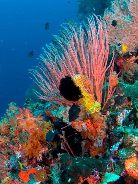 World Explore Official Blog FROM 海 旅 GUIDE