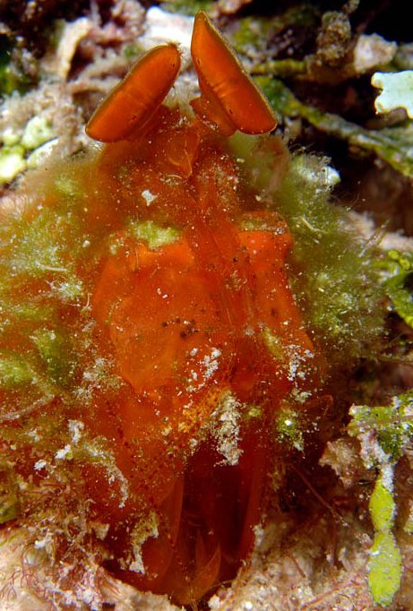 World Explore Official Blog FROM 海 旅 GUIDE