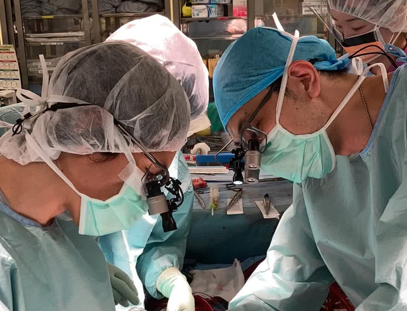 大動脈疾患 | 東京科学大学 心臓血管外科