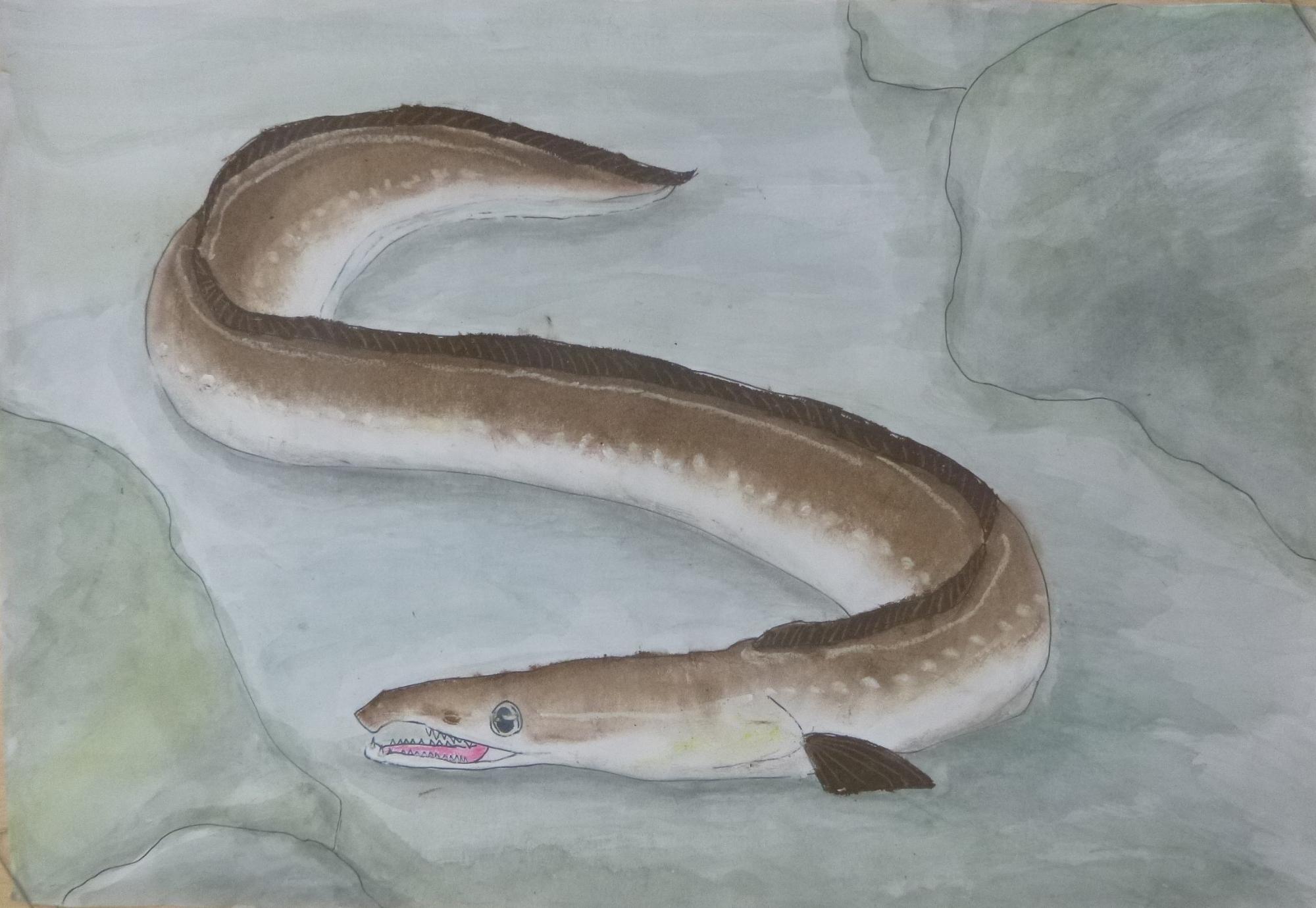 小豆島町おさかな絵画コンクール」受賞作品が決定しました／小豆島町