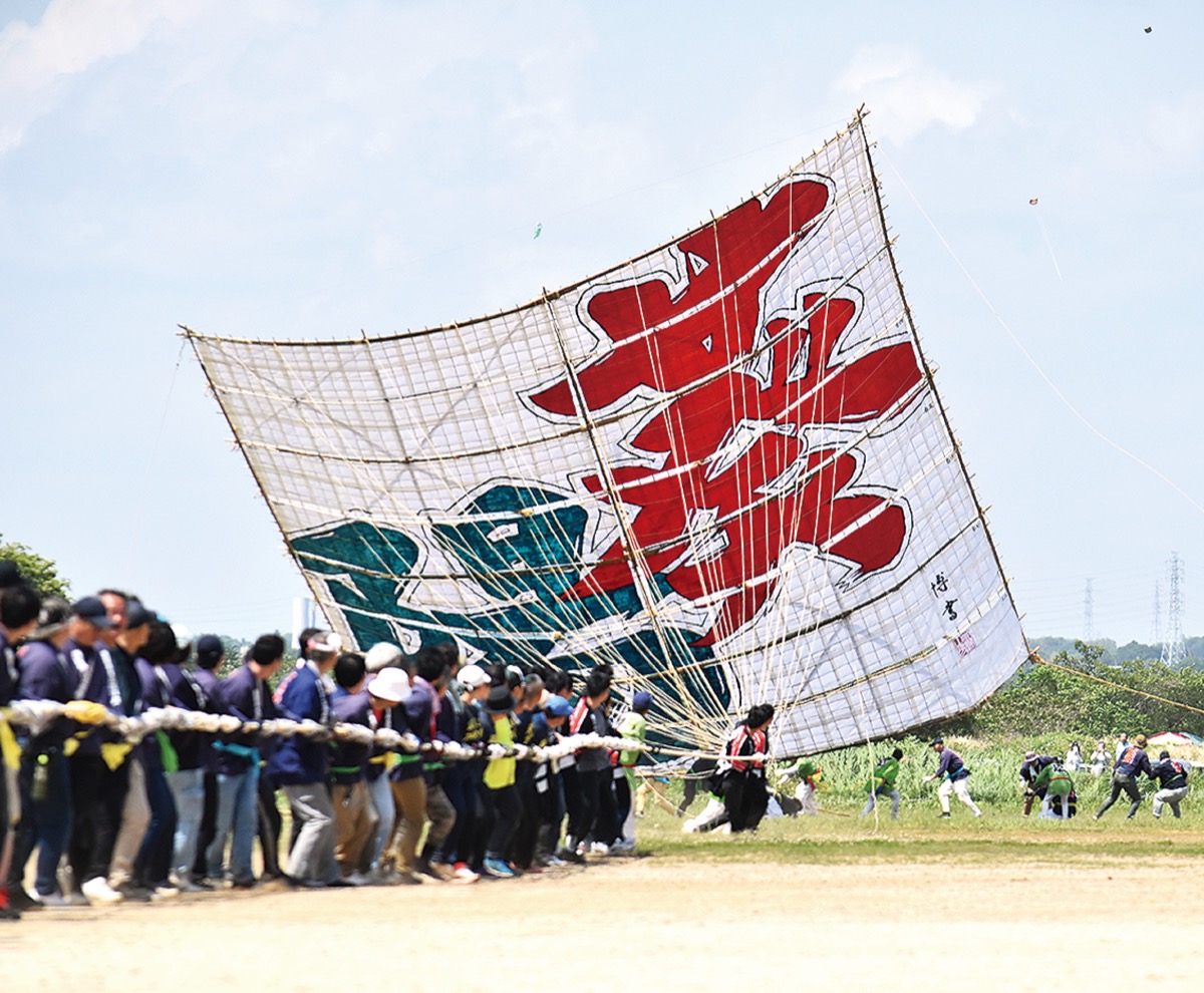 座間市 葵陽、風つかむ 重さ約1トンの大凧 | 海老名・座間・綾瀬