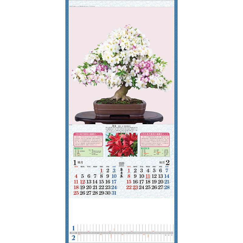 皐月集（2026年版）｜株式会社トーダン