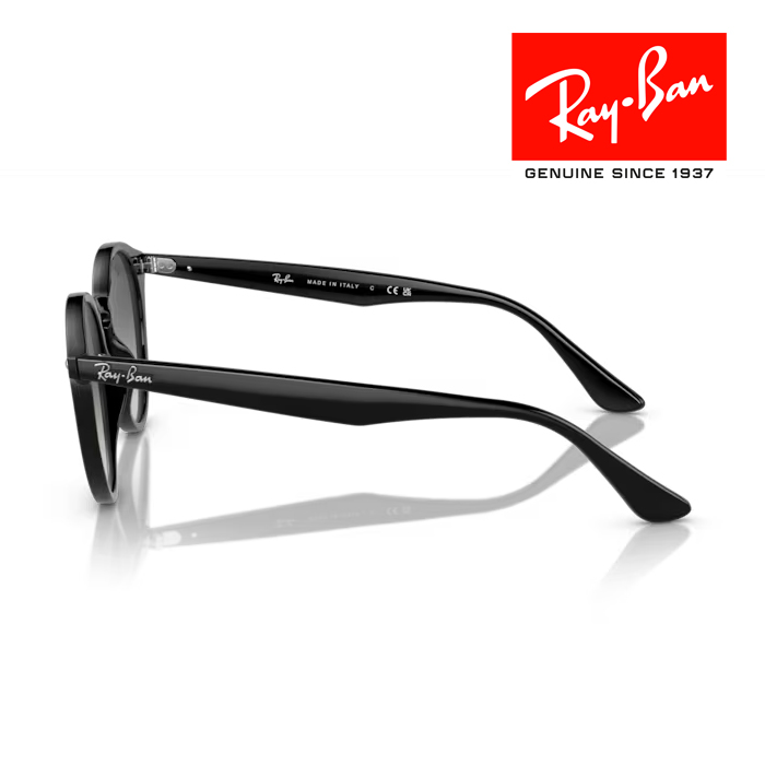 RayBan レイバン サングラス メガネフレーム 51□20 ブラック グレー