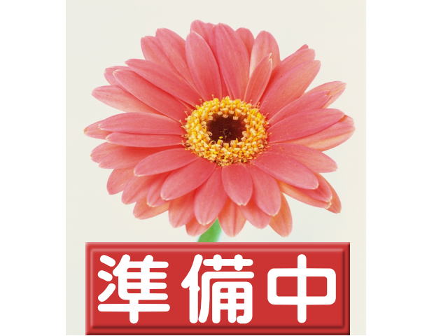 自立ｹｱ/呼び鈴