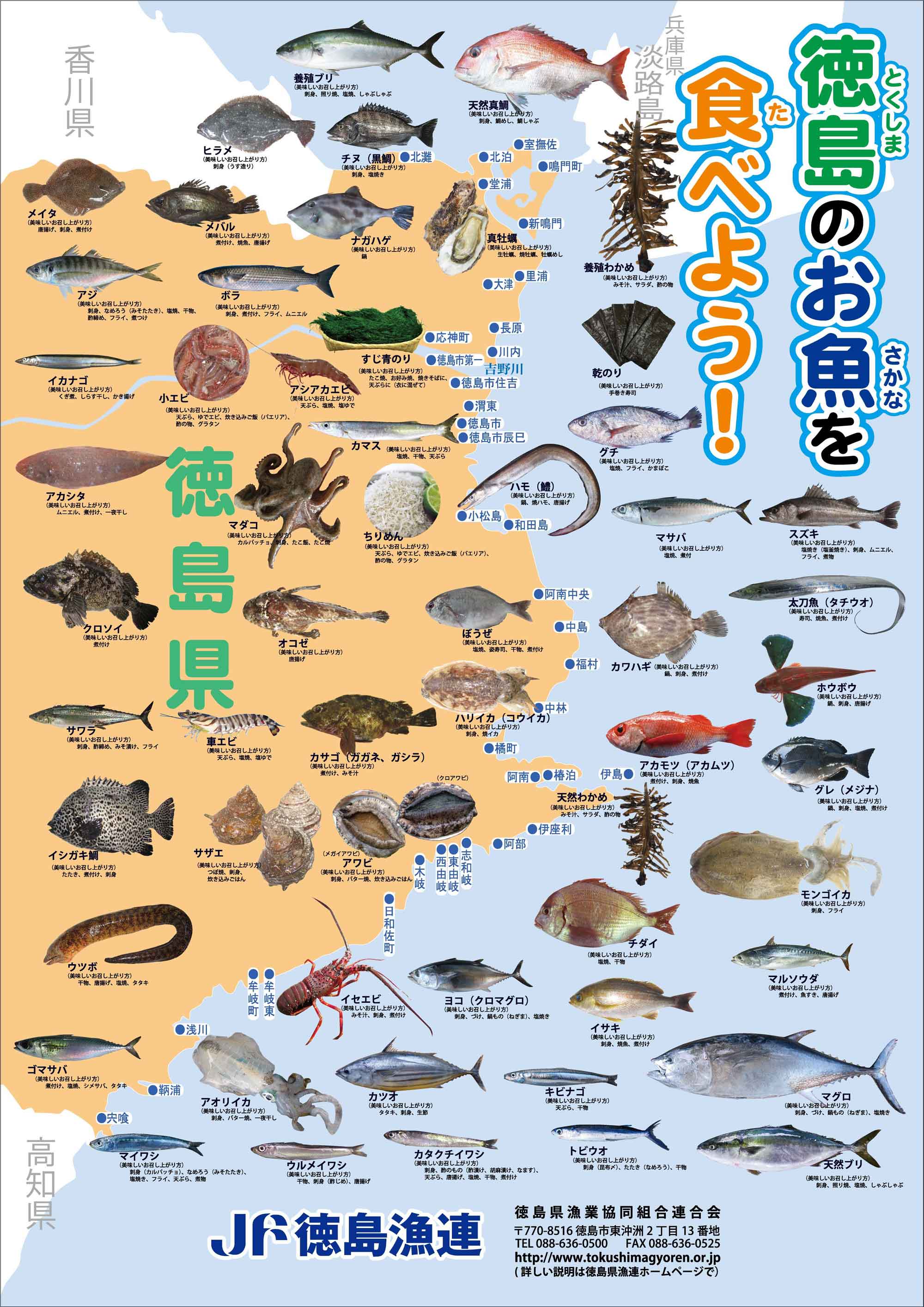 食育への取り組み | JF徳島漁連 | 徳島の美味しいお魚で食育を