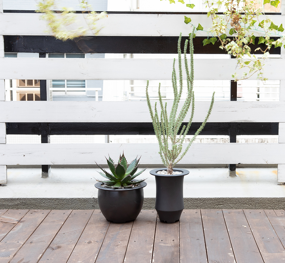 RAKU Bowl Pot S (Black) | 多肉植物・特別な鉢の販売 | トーキー | TOKY